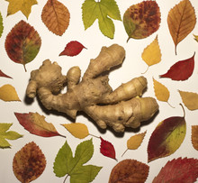 the benefits of ginger root 