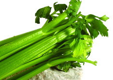 Celery