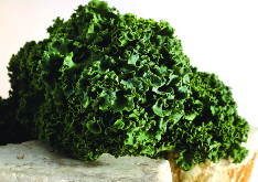 Kale