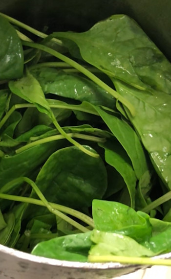 facts about spinach