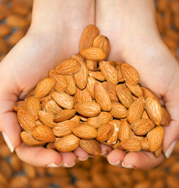 a handful of almonds